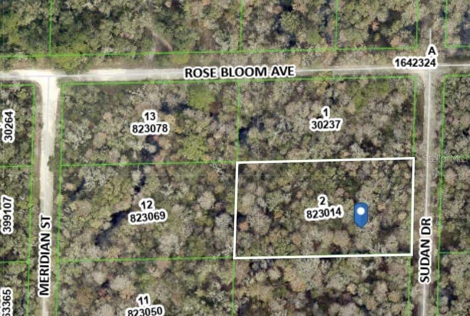 1.16 Acres of Residential Land for Sale in Webster, Florida