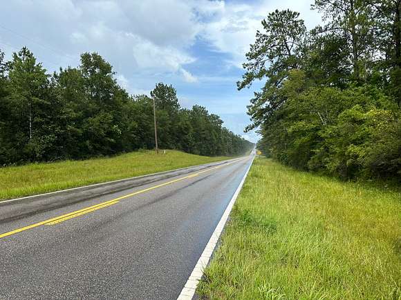 9 Acres of Land for Sale in Wiggins, Mississippi