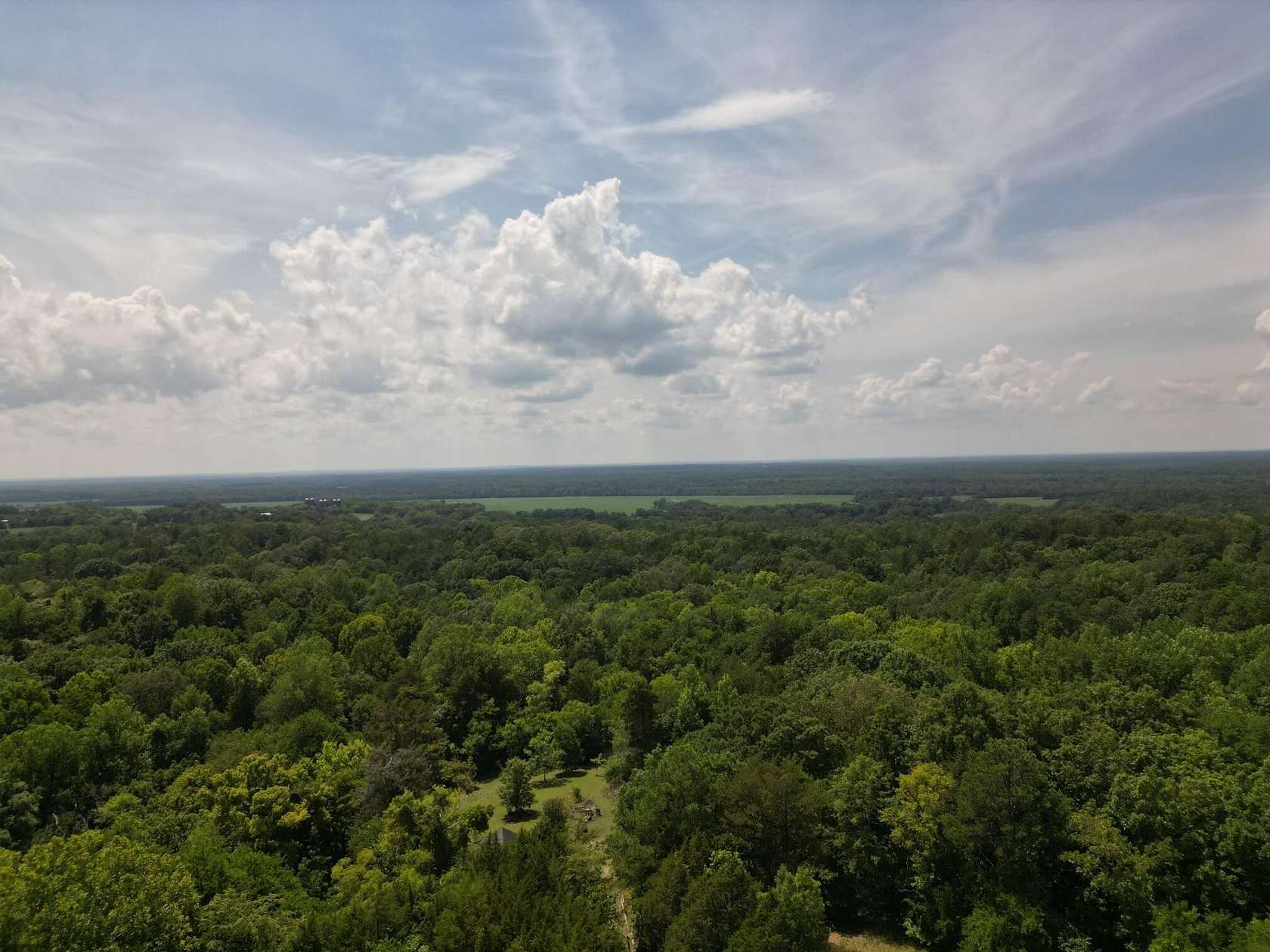 19.5 Acres of Land for Sale in Starkville, Mississippi