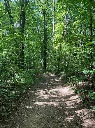 50.55 Acres of Land for Sale in Ellijay, Georgia