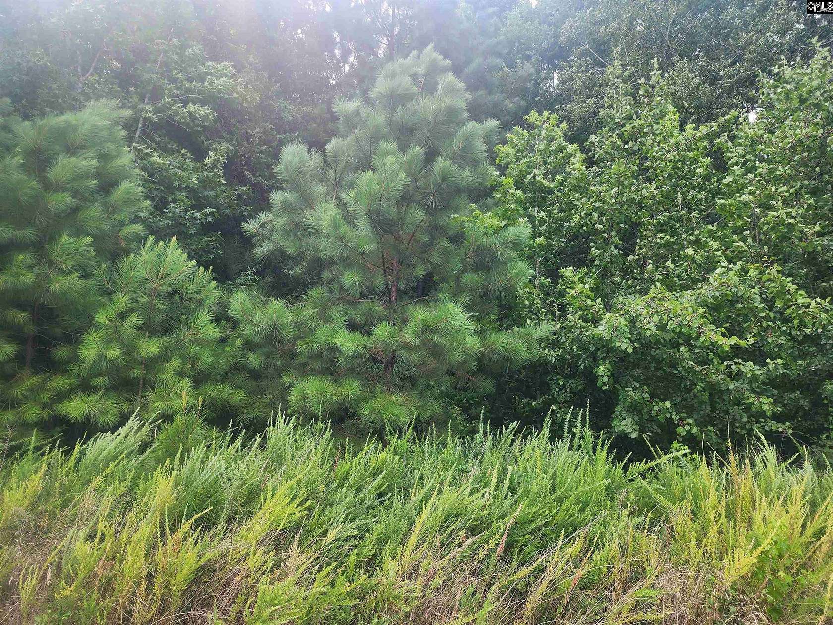 0.61 Acres of Residential Land for Sale in Newberry, South Carolina
