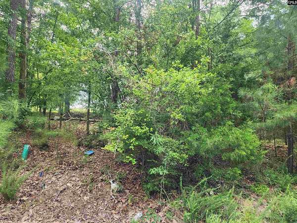 0.65 Acres of Residential Land for Sale in Newberry, South Carolina