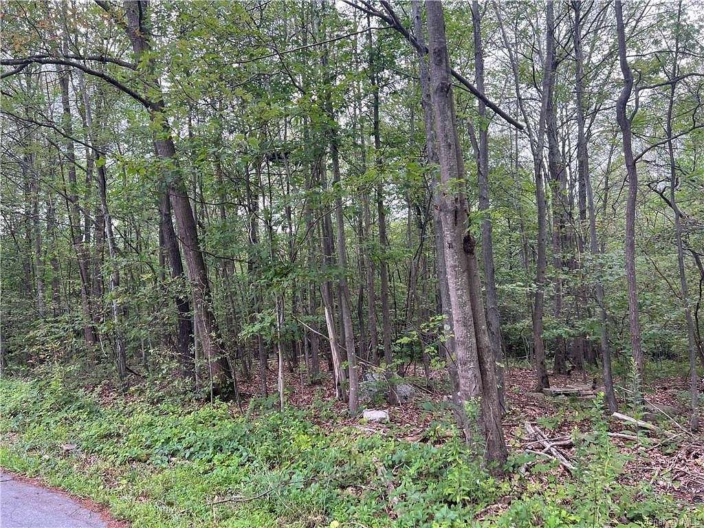 50.79 Acres of Recreational Land for Sale in Mamakating Town, New York