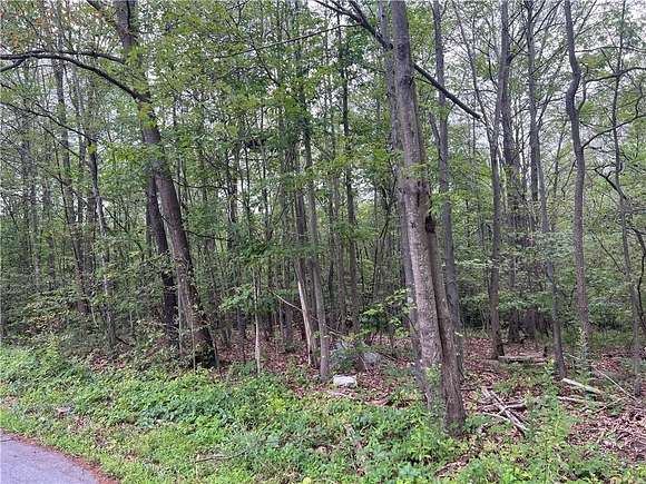 50.79 Acres of Recreational Land for Sale in Bloomingburg, New York