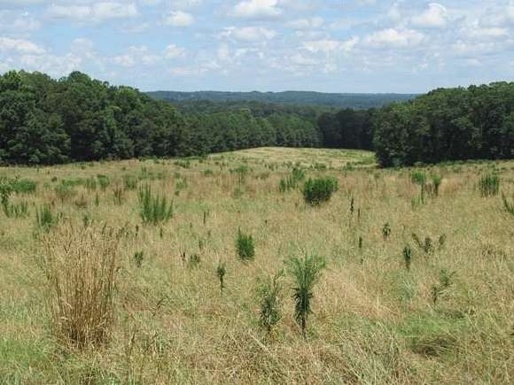 86.82 Acres of Agricultural Land for Sale in Carrollton, Georgia