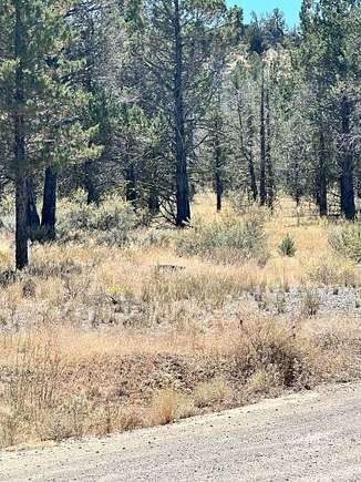 1.47 Acres of Residential Land for Sale in Alturas, California