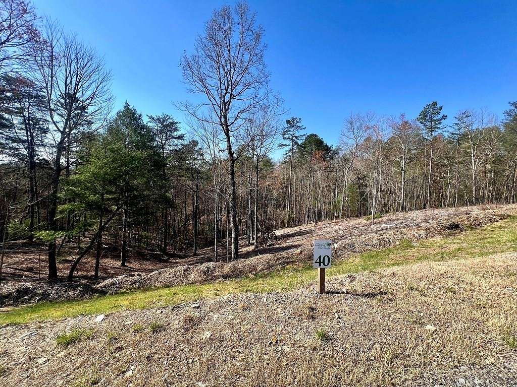1.02 Acres of Land for Sale in Mineral Bluff, Georgia