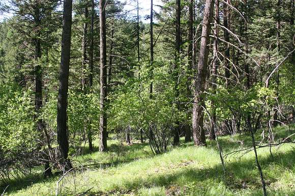 40 Acres of Recreational Land for Sale in Kalispell, Montana