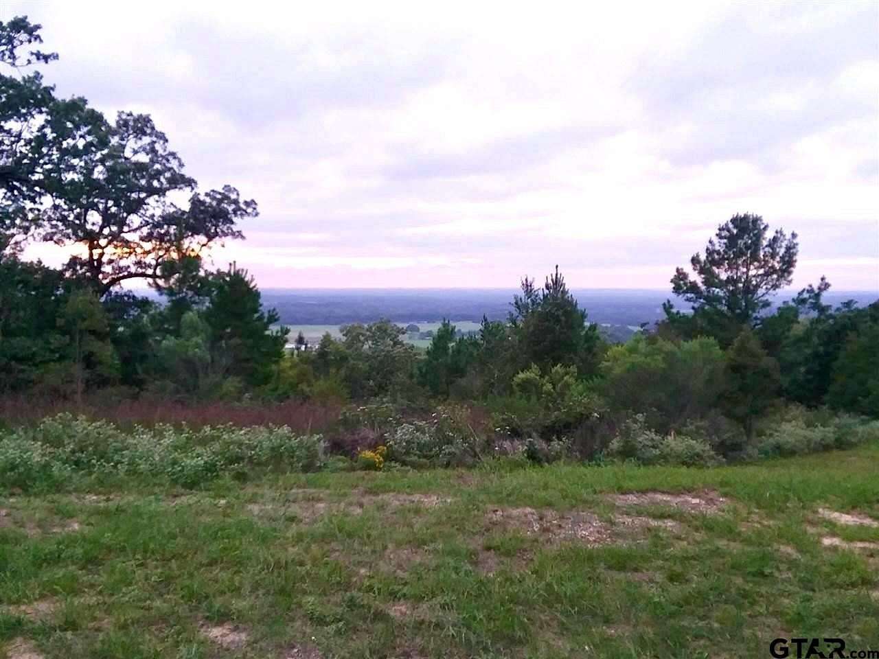 1 Acre of Land for Sale in Montalba, Texas