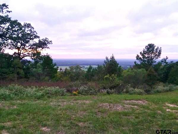 1 Acre of Land for Sale in Montalba, Texas