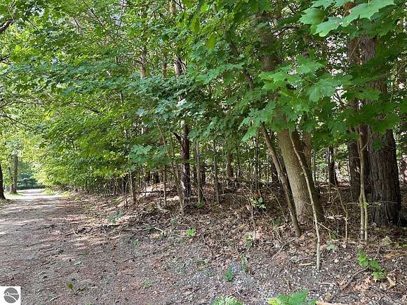 8.5 Acres of Land for Sale in Bellaire, Michigan