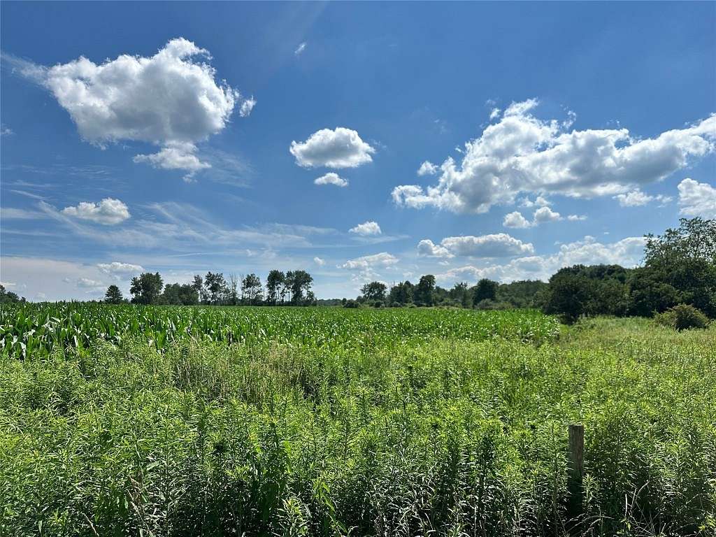 84.016 Acres of Agricultural Land for Sale in Conneautville, Pennsylvania