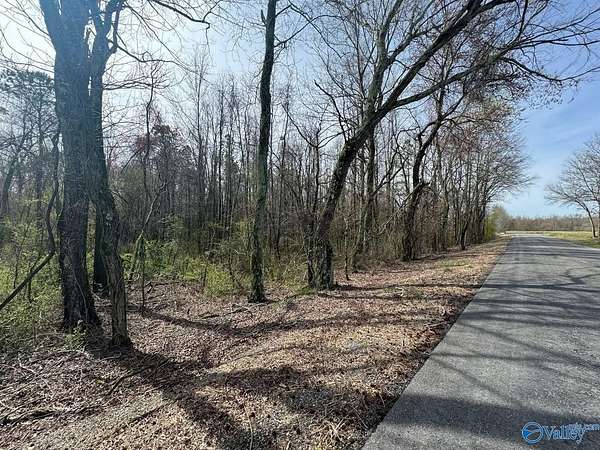 14 Acres of Recreational Land for Sale in Section, Alabama