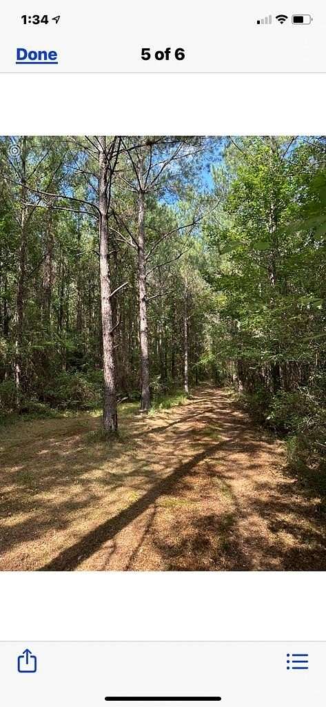 11.47 Acres of Recreational Land for Sale in Laurel, Mississippi