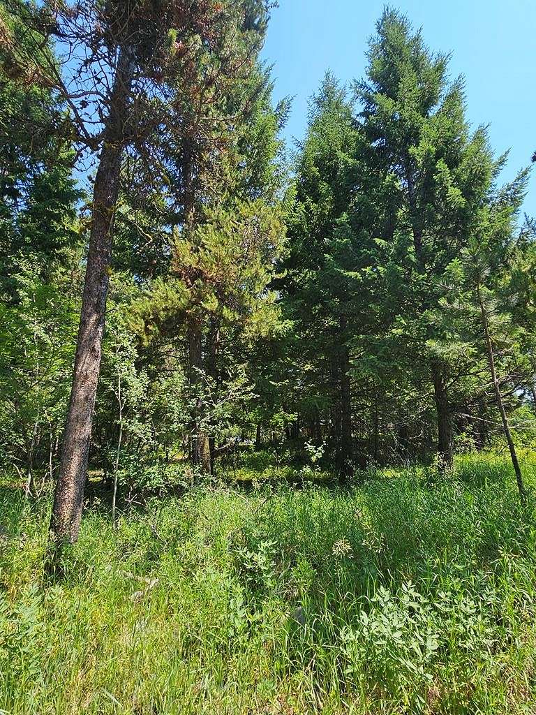 0.25 Acres of Residential Land for Sale in McCall, Idaho