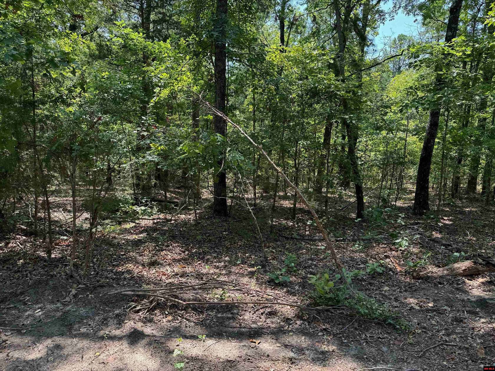 25.07 Acres of Recreational Land for Sale in Salesville, Arkansas