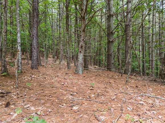 11.96 Acres of Recreational Land for Sale in Mount Airy, North Carolina