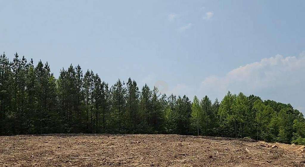 35.52 Acres of Land for Sale in Robbins, Tennessee
