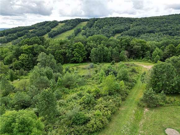 2.4 Acres of Land for Sale in Grove, New York