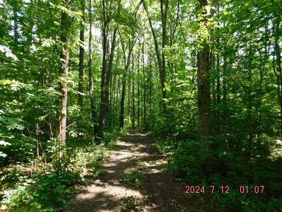 9.85 Acres of Land for Sale in New Auburn, Wisconsin