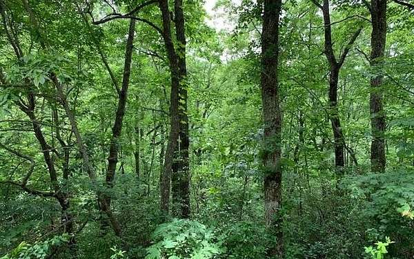1.3 Acres of Residential Land for Sale in Hayesville, North Carolina