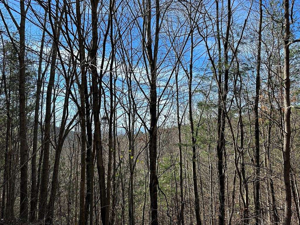 7.14 Acres of Land for Sale in Hayesville, North Carolina
