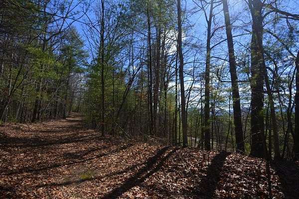2.5 Acres of Residential Land for Sale in Robbinsville, North Carolina