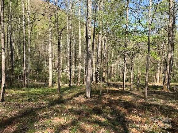 105 Acres of Recreational Land for Sale in Sylva, North Carolina