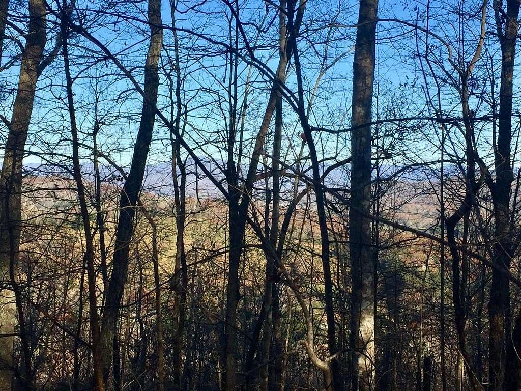 44 Acres of Land for Sale in Warne, North Carolina