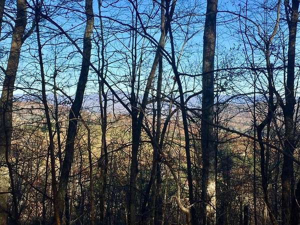 44 Acres of Land for Sale in Warne, North Carolina
