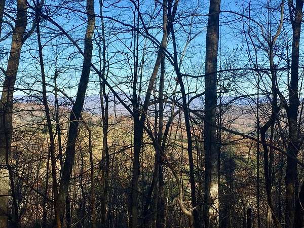 44 Acres of Land for Sale in Warne, North Carolina