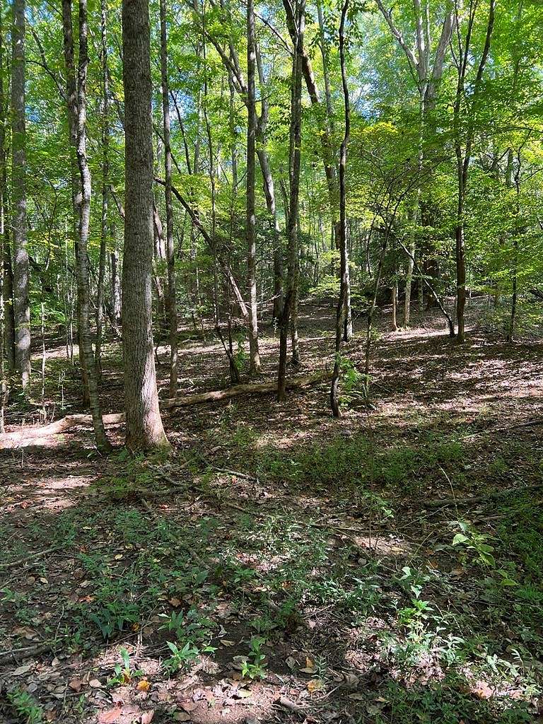 1.18 Acres of Residential Land for Sale in Andrews, North Carolina