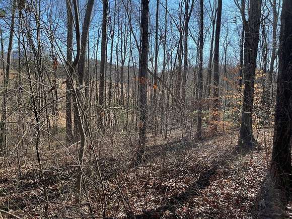 0.38 Acres of Land for Sale in Hayesville, North Carolina