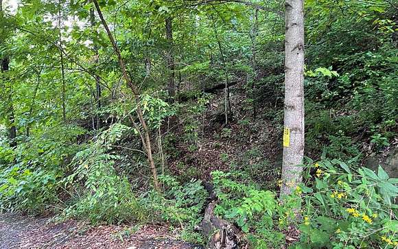 Land for Sale in Hiawassee, Georgia