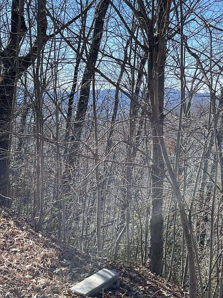 0.76 Acres of Land for Sale in Hayesville, North Carolina