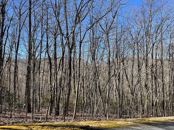 1.78 Acres of Land for Sale in Hayesville, North Carolina