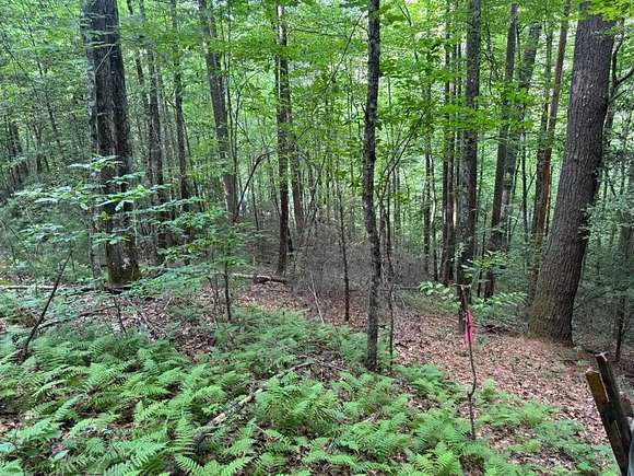 Residential Land for Sale in Murphy, North Carolina