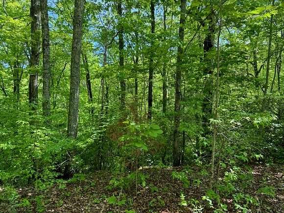 Residential Land for Sale in Marble, North Carolina