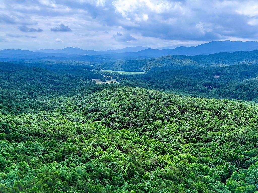 Residential Land for Sale in Brasstown, North Carolina