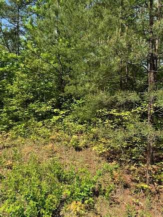 Residential Land for Sale in Marble, North Carolina