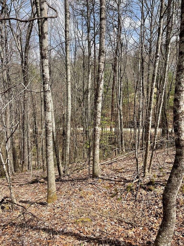 4.55 Acres of Residential Land for Sale in Topton, North Carolina