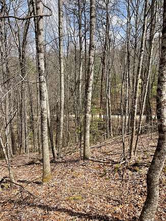 4.55 Acres of Residential Land for Sale in Topton, North Carolina