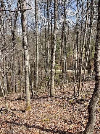 4.55 Acres of Residential Land for Sale in Topton, North Carolina