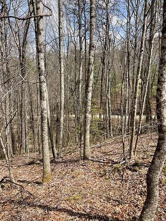 4.55 Acres of Residential Land for Sale in Topton, North Carolina