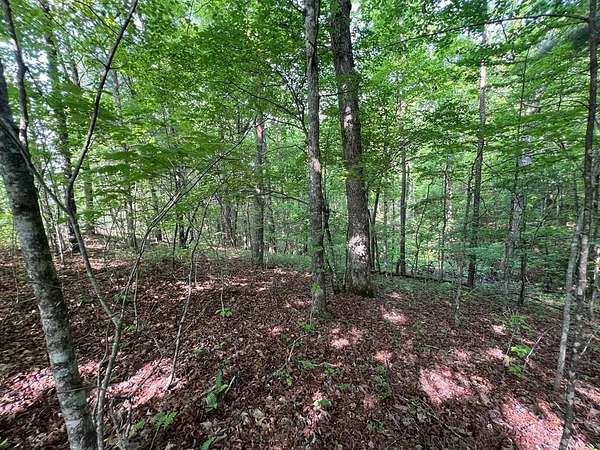 10 Acres of Residential Land for Sale in Murphy, North Carolina