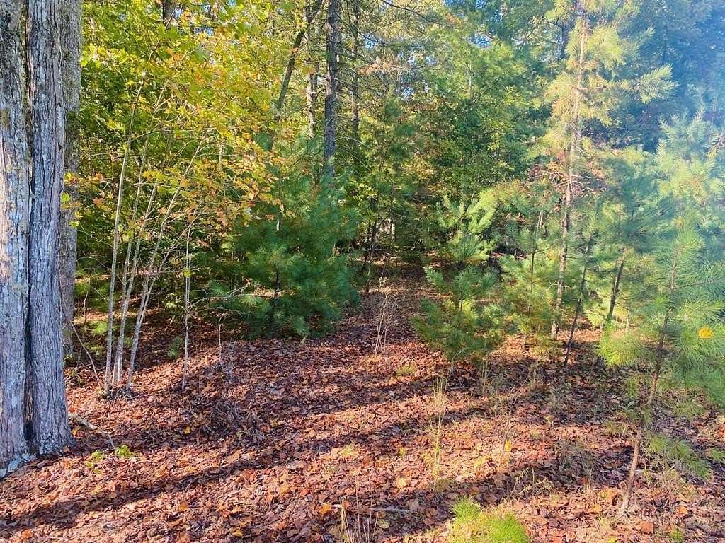 Residential Land for Sale in Murphy, North Carolina