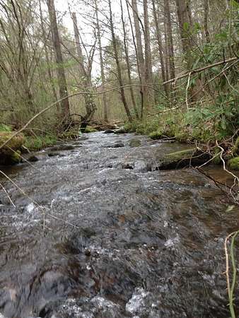 55.8 Acres of Land for Sale in Murphy, North Carolina