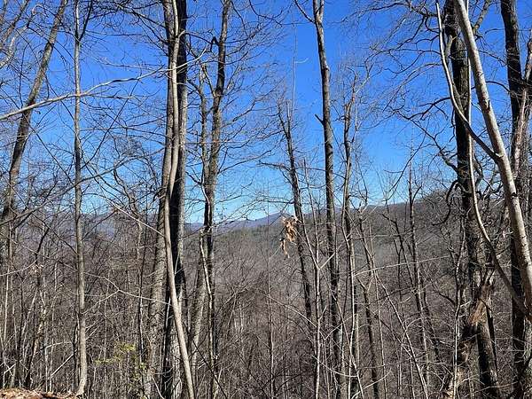 1.62 Acres of Land for Sale in Hayesville, North Carolina
