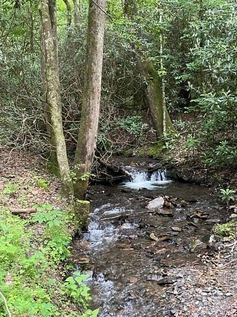 90.5 Acres of Land for Sale in Andrews, North Carolina