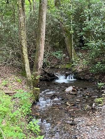 90.5 Acres of Land for Sale in Andrews, North Carolina